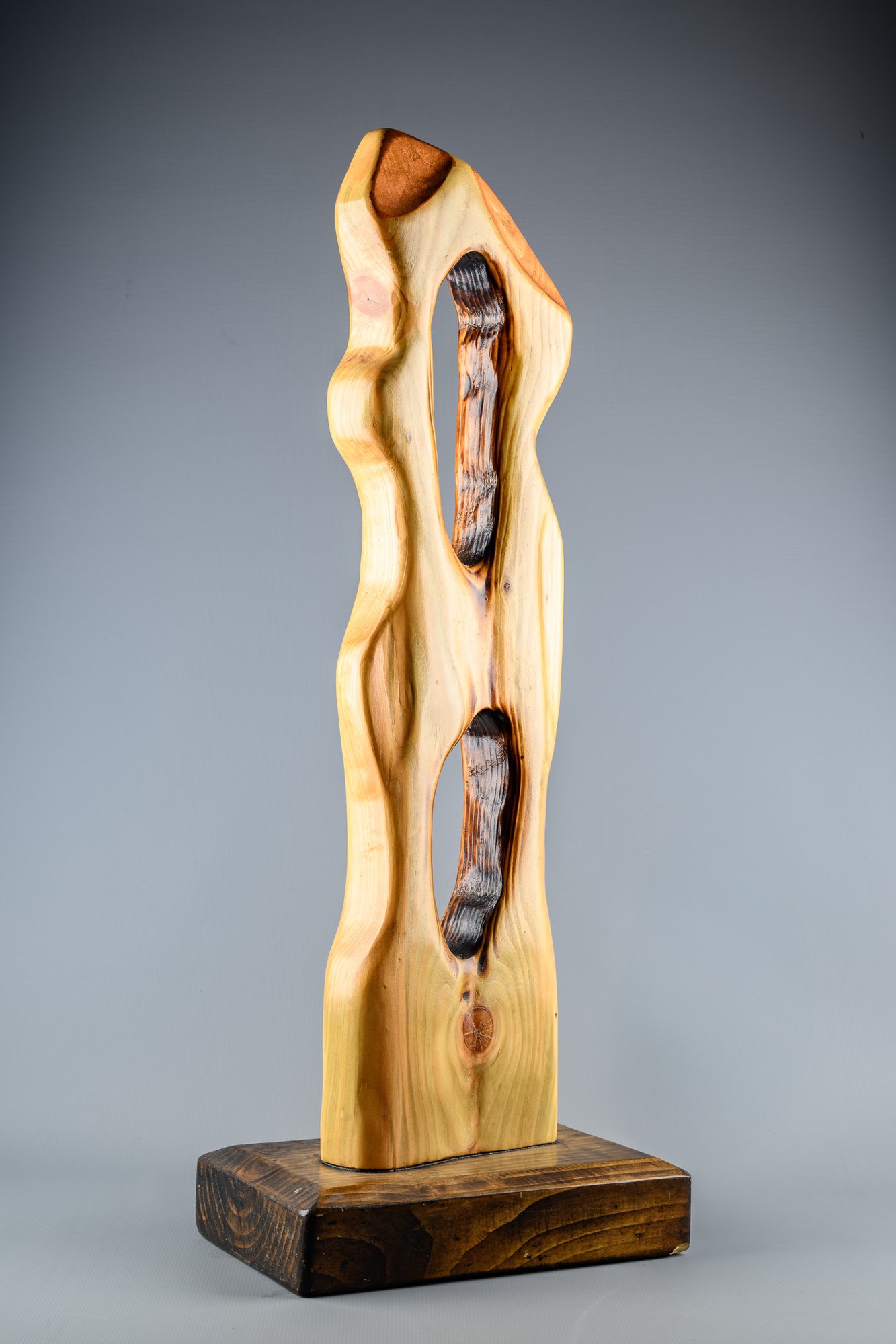 Sculpture titled 'Eve 3', crafted from driftwood and coated in copper leaf, emphasizing organic curves and the interplay of natural texture with metallic sheen