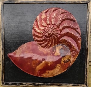 Andreucetti Nautilus Fossil in Red (4)